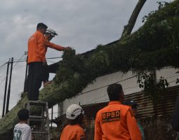 Perubahan Cuaca Ekstrem, Pemkab Bandung: Waspadai Potensi Bencana Alam Banjir Bandang, Longsor, Pergerakan Tanah dan Pohon Tumbang 