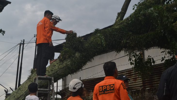Perubahan Cuaca Ekstrem, Pemkab Bandung: Waspadai Potensi Bencana Alam Banjir Bandang, Longsor, Pergerakan Tanah dan Pohon Tumbang 