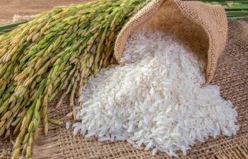 Zakat Fitrah Kabupaten Bandung 2025: Rp 38.000 atau 2,5 Kg Beras, Wajib Dibayarkan Sebelum Shalat Idul Fitri Kabupaten Bandung,[Mpnews] 17 Maret 2025 - Majelis Ulama Indonesia (MUI) Kabupaten Bandung telah menetapkan besaran zakat fitrah untuk tahun 2025 ini. Zakat fitrah dapat dibayarkan dengan uang tunai sebesar Rp 38.000 atau setara dengan 2,5 kg beras. Penetapan ini mempertimbangkan harga beras terkini di wilayah tersebut dan sejalan dengan pedoman yang dikeluarkan oleh Kementerian Agama, MUI, dan pemerintah daerah. Keputusan ini diumumkan dalam rapat koordinasi yang dihadiri oleh tokoh-tokoh kunci, termasuk Ketua Umum MUI Kabupaten Bandung KH. Yayan Hasuna Hudaya, Wakil Ketua 4 BAZNAS Kabupaten Bandung H. Sarnapi, Kabis Ekonomi MUI Kabupaten Bandung dan Waka 3 BAZNAS Kabupaten Bandung H. Dudi Abdul Hadi, serta Ketua Majelis Taklim Wanita Rahmatul Ummah MUI Kabupaten Bandung Hj. Diah Sa'diah dan perwakilan dari majelis taklim lainnya. Ketua MUI Kabupaten Bandung, KH. Yayan Hasuna Hudaya, menegaskan bahwa penetapan besaran zakat fitrah ini merupakan hasil kolaborasi dengan BAZNAS Kabupaten Bandung dan pemerintah daerah. Tujuannya adalah memastikan bahwa zakat fitrah dapat disalurkan dengan tepat dan bermanfaat bagi masyarakat yang membutuhkan. Zakat fitrah merupakan kewajiban bagi setiap Muslim yang telah memenuhi syarat, seperti telah dewasa, berakal sehat, dan memiliki harta yang mencukupi kebutuhan pokoknya dan keluarganya. Pembayaran zakat fitrah dapat dilakukan mulai awal bulan Ramadhan dan paling lambat sebelum shalat Idul Fitri. Masyarakat dapat menyalurkan zakat fitrah melalui BAZNAS Kabupaten Bandung atau lembaga amil zakat terpercaya lainnya. Manfaat Zakat Fitrah: Zakat fitrah memiliki banyak manfaat, di antaranya: - Membersihkan jiwa dari dosa: Menunaikan zakat fitrah membersihkan jiwa dari dosa-dosa kecil yang dilakukan selama bulan Ramadhan. - Membantu kaum miskin: Zakat fitrah disalurkan kepada orang-orang miskin dan fakir, membantu mereka memenuhi kebutuhan pokok selama Idul Fitri. - Menumbuhkan rasa persaudaraan: Zakat fitrah mempererat tali silaturahmi dan rasa persaudaraan antar sesama Muslim. - Menciptakan keadilan sosial: Zakat fitrah membantu menjembatani kesenjangan sosial dan menciptakan masyarakat yang lebih adil.