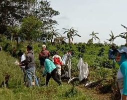 Blok Pahlawan Unit Kertamanah Bangkit dengan Reboisasi dan Penghijauan Pasca Konflik!
