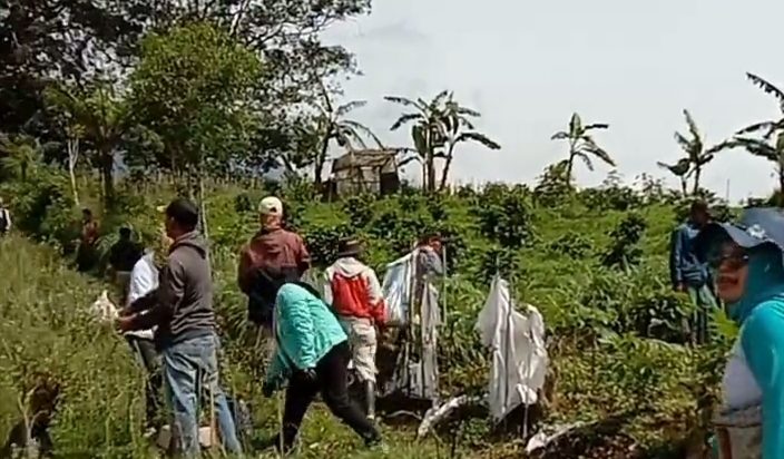 Blok Pahlawan Unit Kertamanah Bangkit dengan Reboisasi dan Penghijauan Pasca Konflik!