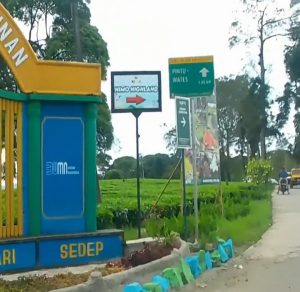 Blok Pahlawan Unit Kertamanah Bangkit dengan Reboisasi dan Penghijauan Pasca Konflik!