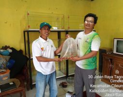 Melalui Aspirasi ke Anggota DPRD, Pembudidaya Ikan Hias di Cileunyi Terima Bantuan dari Program 100 Hari Kerja Bupati Bandung