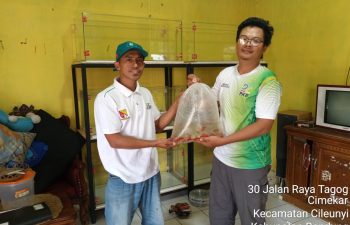 Melalui Aspirasi ke Anggota DPRD, Pembudidaya Ikan Hias di Cileunyi Terima Bantuan dari Program 100 Hari Kerja Bupati Bandung