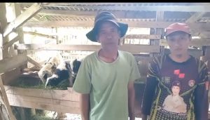 Program e-Pokir, Hilman Faroq Realisasikan Warga Kecamatan Cileunyi Mendapat Bantuan Domba