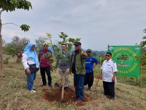 SOMASI Gelar Penanaman Pohon di Gambung, Dorong Kolaborasi Pentahelix untuk Selamatkan Lingkungan