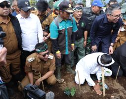 Di Tengah Polemik Alih Fungsi Lahan, KDM Tegaskan: Kebun Teh Dijaga, Rakyat Tak Boleh Jadi Korban