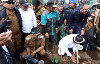 Di Tengah Polemik Alih Fungsi Lahan, KDM Tegaskan: Kebun Teh Dijaga, Rakyat Tak Boleh Jadi Korban
