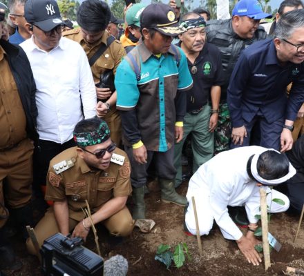 Di Tengah Polemik Alih Fungsi Lahan, KDM Tegaskan: Kebun Teh Dijaga, Rakyat Tak Boleh Jadi Korban