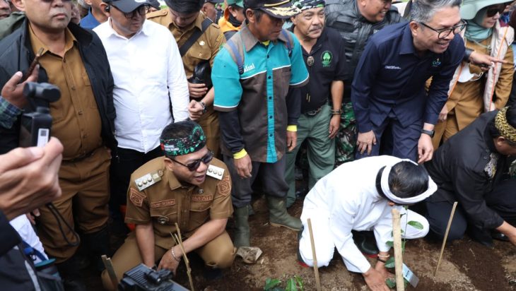 Di Tengah Polemik Alih Fungsi Lahan, KDM Tegaskan: Kebun Teh Dijaga, Rakyat Tak Boleh Jadi Korban