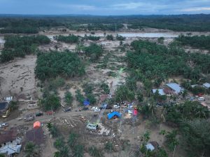 Tampilan salah satu tower transmisi 150 kV Pangkalan Brandan - Langsa di Aceh Tamiang yang terdampak parah oleh bencana banjir (kiri) dan tower darurat (kanan) yang berhasil dibangun untuk memulihkan kembali interkoneksi listrik Sumatra ke Aceh.