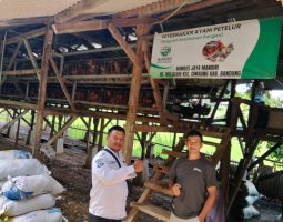 50 Kg Telur Ayam Petelur dari Desa, Harapan untuk Generasi. BUMDes Malasari Siap Gendong Gizi Bangsa dengan 20% Modal Awal dari DD!