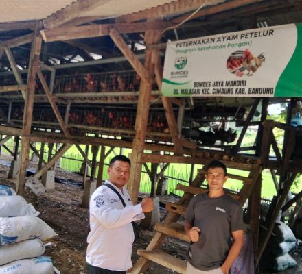 50 Kg Telur Ayam Petelur dari Desa, Harapan untuk Generasi. BUMDes Malasari Siap Gendong Gizi Bangsa dengan 20% Modal Awal dari DD!