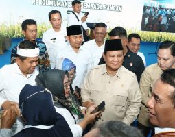Hadiri Panen Raya di Karawang, Kang DS Sambut Baik Capaian Swasembada Pangan Nasional