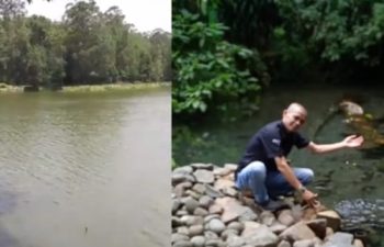 FPHJ Soroti Komitmen Kemitraan Kehutanan di Gunung Wayang, Eka Santosa Sentil Isu Kebijakan Kemenhut Terkait Perambah