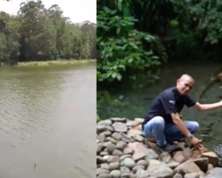 FPHJ Soroti Komitmen Kemitraan Kehutanan di Gunung Wayang, Eka Santosa Sentil Isu Kebijakan Kemenhut Terkait Perambah